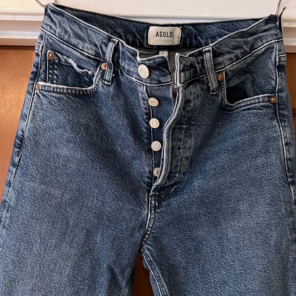 Agolde Nico High Rise Slim